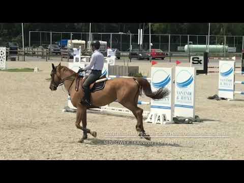Conthachalu (2012, Conthargos x Chacco Blue) | Sentower Training | 15/Jun/2019