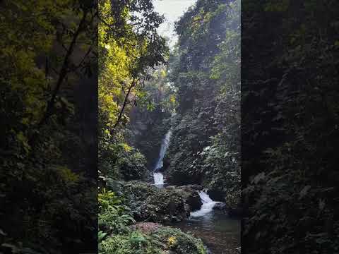 Cascada el mohan puerto Rico Caquetá Colombia #cascadas #caquetá