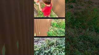 物件みまわり隊／草刈師たち#京都市不動産#京都市山科区#売土地#草刈