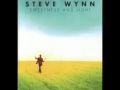 Steve Wynn - Ghosts