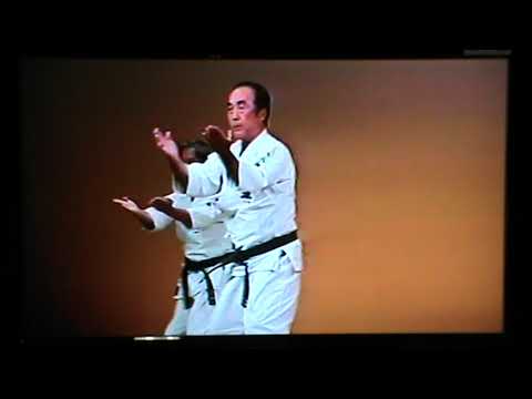 Sanseiryu 三十六  kata group demo / Hanshi Senaga Yoshitsune 10 dan UECHI RYU KARATE DO KENSEIKAI