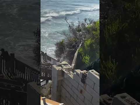 My trip to California 2022 ❤️🏝️.       #california #sandiego #losangeles