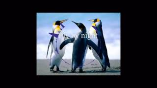 Broiler -  Fly by night