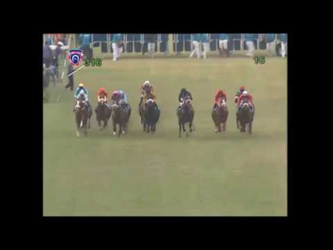 Parachute Man - Duke Of York Cup 2016