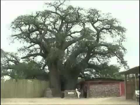 Tunakie - Ila Wutale (Namtunes)