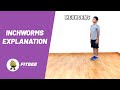 Inchworms Explanation