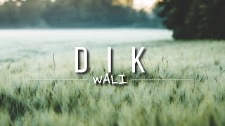 Download lagu Wali - Dik (Lyric) mp3