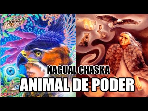 EL ANIMAL DE PODER O CHASKA - MAESTRO LOBO BLANCO WAYNA PACHA - EL PODER TOTÉMICO ANDINO.