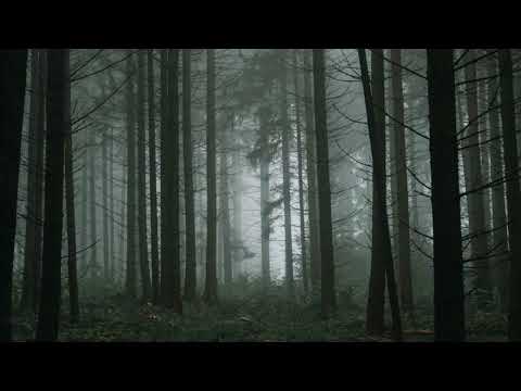 Lil Nas X - Tarantino