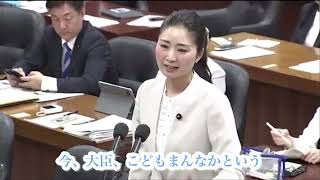 2025.6.10.国民民主党日野紗里亜衆議院議員の地こデジ委員会質疑