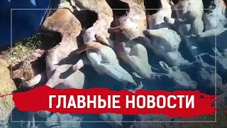 12.08.2019 14:00 Главные новости