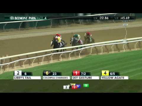 Yellow Agate - 2016 Frizette Stakes