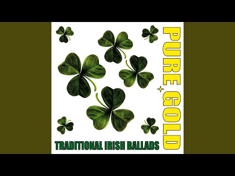 Poor Paddy Works on the Railway