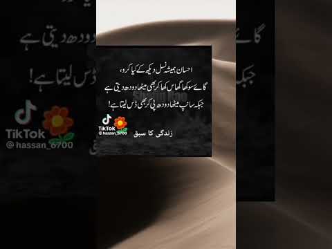 zadinge ka sabika 👍👇#youtubeshorts #viralvideo