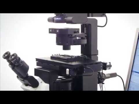IX73 Inverted Microscope System
