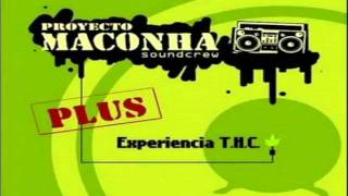 Proyecto Maconha T.H.C.