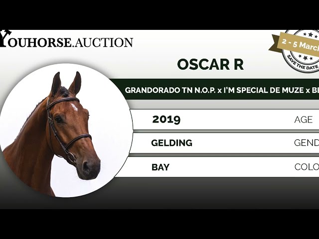 Oscar showvideo this weekend