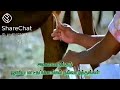 Pongal Song Cut Song