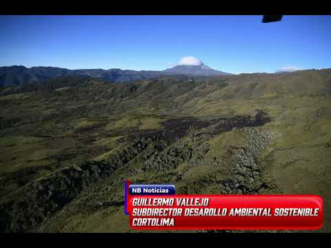 Guillermo Vallejo Subdirector de Desarrollo Ambiental Sostenible de Cortolima.