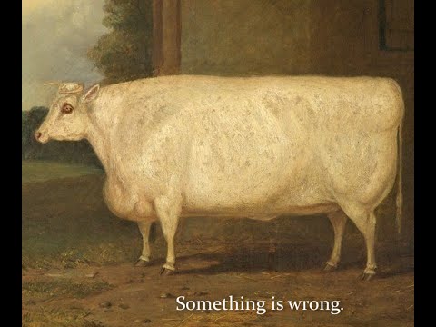 Brother, I am troubled