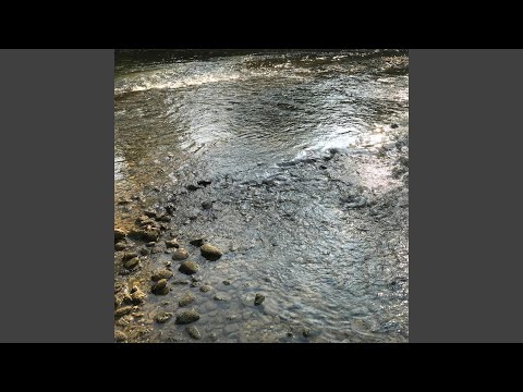 Distant River Sounds with Morning Birds