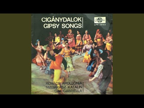 Piros volt a paradicsom