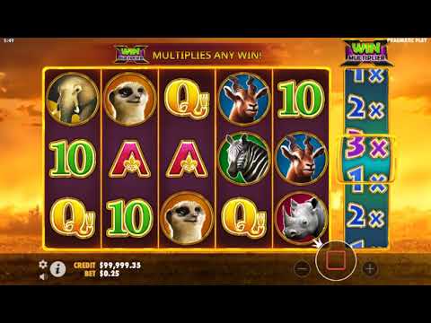 Hot Safari – Video Gameplay