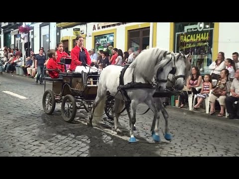 Desfile do Desporto Sanjoaninas 2015
