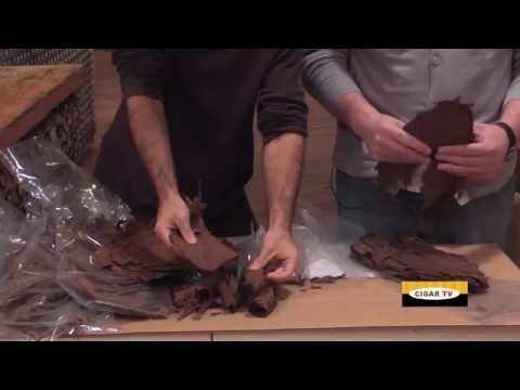 Leaf Only: Anatomy of a Cigar