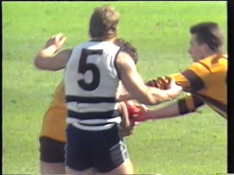 Gary Ablett HUGE  hit on Robert DiPierdomenico 89 Grand Final Hawthorn VS Geelong