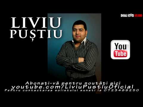 Liviu Pustiu - Doamne prietenii mei  | Official Audio