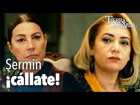 Lo que dijo Şermin enfureció a Hünkar - Capítulo 67