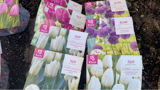 Planting Tulip and Allium Bulbs | EvrCrest