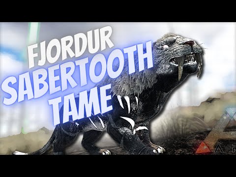 2023 UPDATED - SOLO SABERTOOTH TAME FJORDUR (ARK SURVIVAL EVOLVED)
