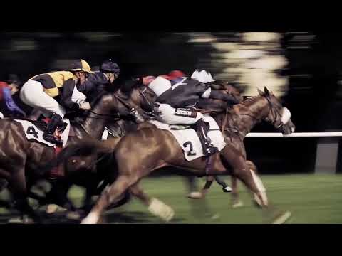 Pferderennbahn Hoppegarten:  Informationen zu den Renntagen und die Tickets gibt es hier!