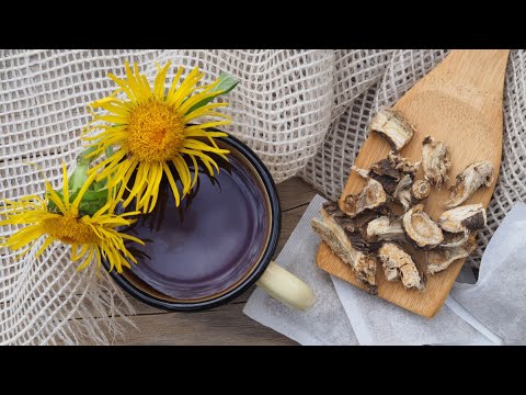 OMAN MAGIJSKA I LEKOVITA BILJKA: Evo šta sve leči i kako ćete skuvati čaj od ove moćne biljke!