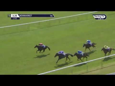 Kameko winner 2000 Guinnes Newmarket 2020