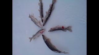 Приманка краб для щуки своими руками