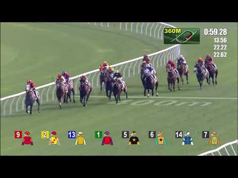 13/3/2021 (505) Super Winner - J Moreira