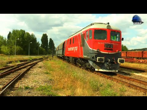 Trenuri in Oradea Est Triaj/Trains in Oradea Est Shunting Yard - 21 August 2021
