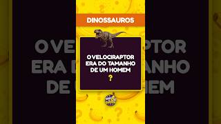 Capa de Dinossauros #01