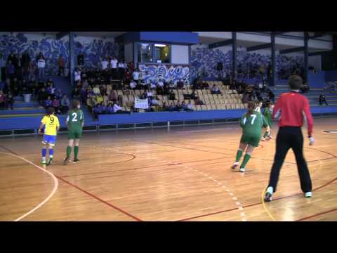 nzs.si: Finale Zimske ženske lige 2011/12 (04.02.2012)