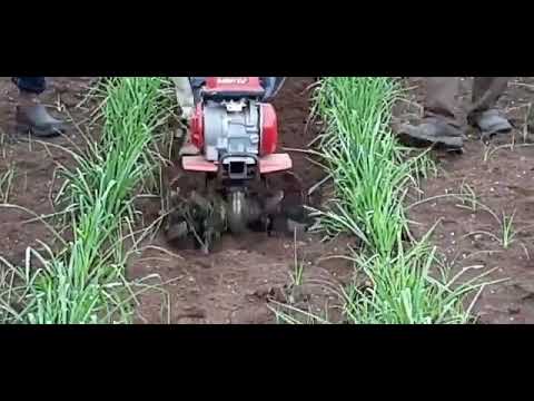 Honda 2hp F300 Mini Power Tiller