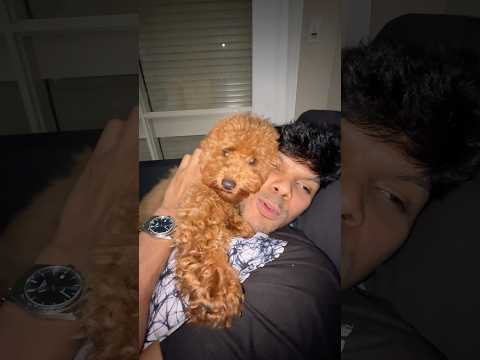 Aww Hass and Leo 🥺🥰🧸