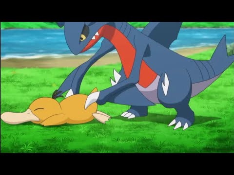 Gabite helps psyduck & Garchomp evolution | Pokemon XY