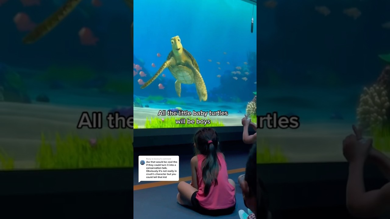 I didn’t realize crush at turtle talk from finding Nemo was this funny 😂