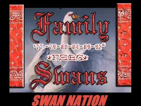 Madd Family Swan Nation