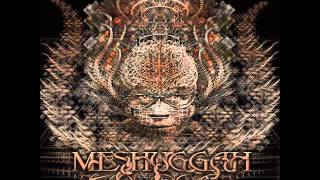 Meshuggah - Break Those Bones Whose Sinews Gave It Motion (High Quality)