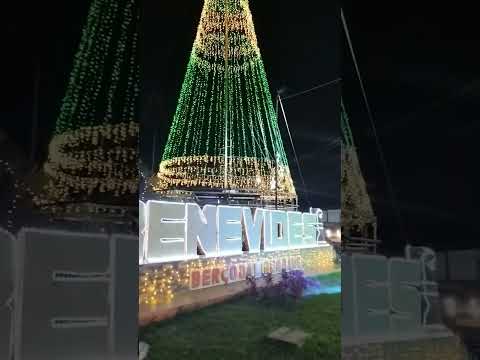 #Cidade Benevides  #Para #Natal #Prefeita criativa #Natal feliz #Benço da liberdade #Natal Alegria.