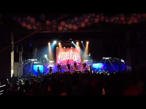 [AMATORY] Последний концерт?